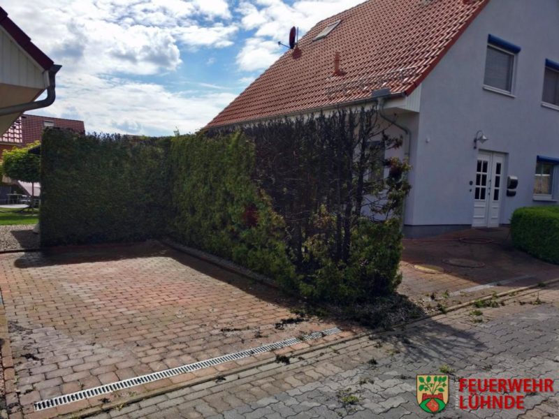 B0 – Hecke (04-2020)