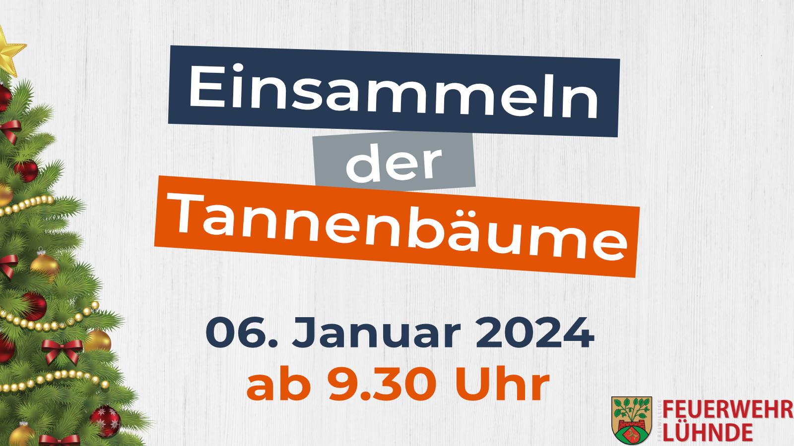 Read more about the article Einsammeln der Tannenbäume 2024